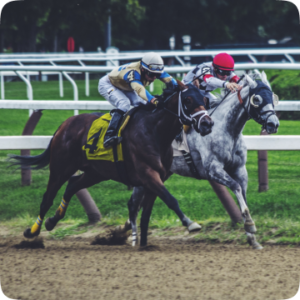 Make your first $500 risk-free using our free guides!