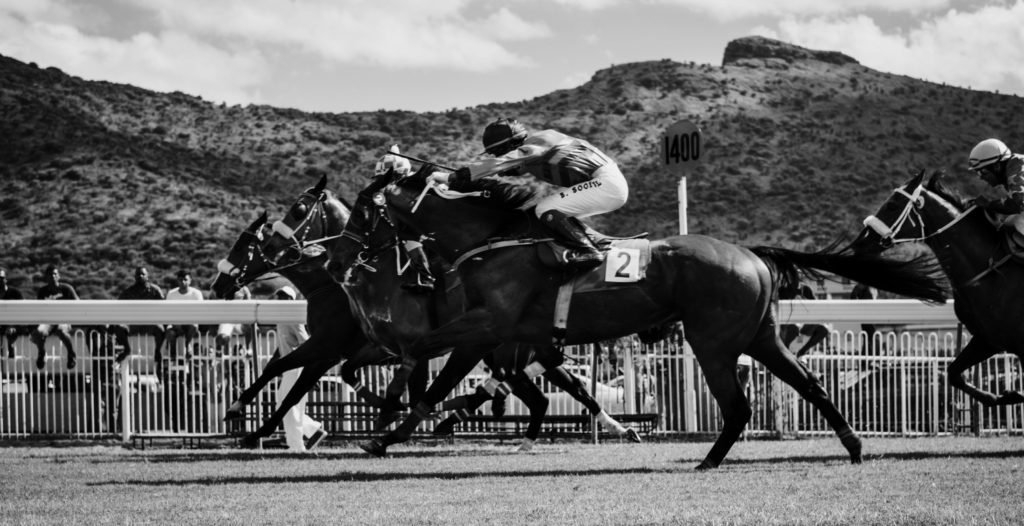 Horse Racing Offers