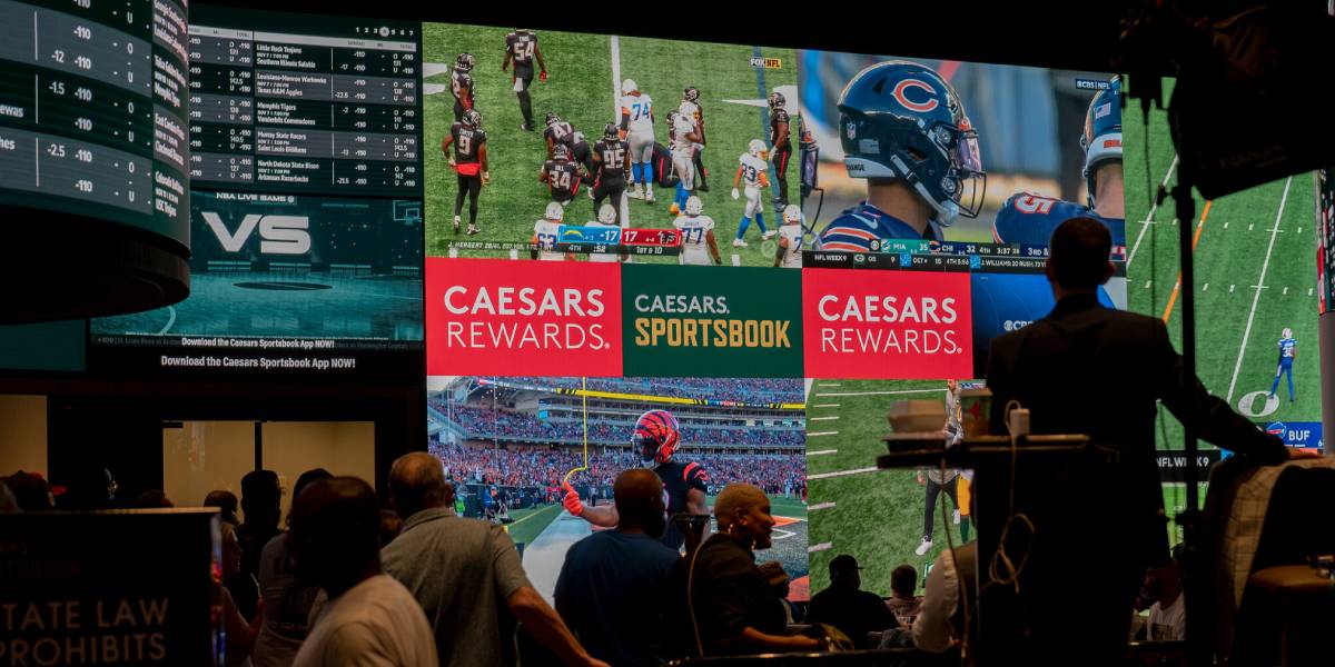 Bookmakers' odds displayed on multiple large screens in a sports betting arena.