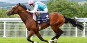 Thoroughbred racehorse with jockey during a horse race