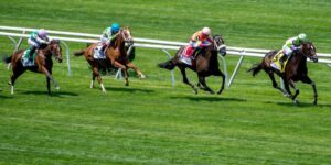 Thoroughbred horses racing on grass, symbolising betting odds and probability gaps