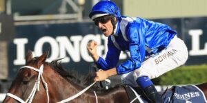 Jockey celebrating victory in autumn horse racing on brown horse wearing blue silks 