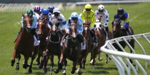 Horse racing racers battling for position on the track with speed and strategy.