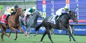 Racing bet types explained through a horse race image showing jockeys competing on turf with betting odds displayed in the background.